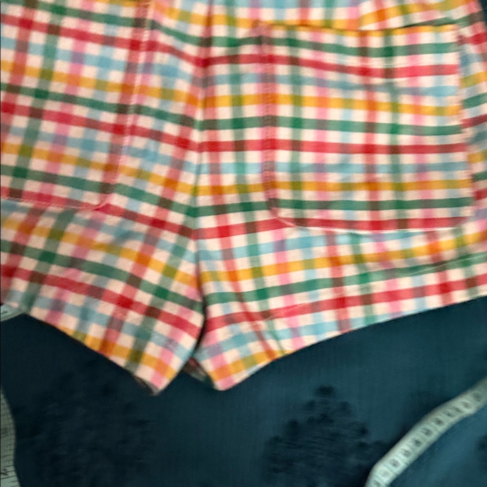 Anthropologie Colorful Gingham High Waist Shorts - Picture 12 of 12